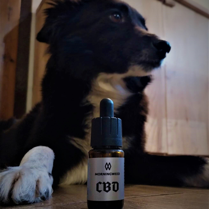 CBD and CBG Drops 🌿💧